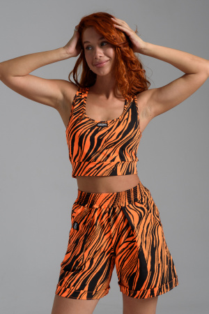 0172c545-3aa8-4b8d-a253-87af2e8e54f6