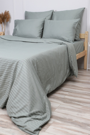 36238e2b-689b-4b30-ab64-290ce21ad009