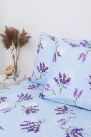 b177566c-def9-415f-a4c9-b5cd21737fb5